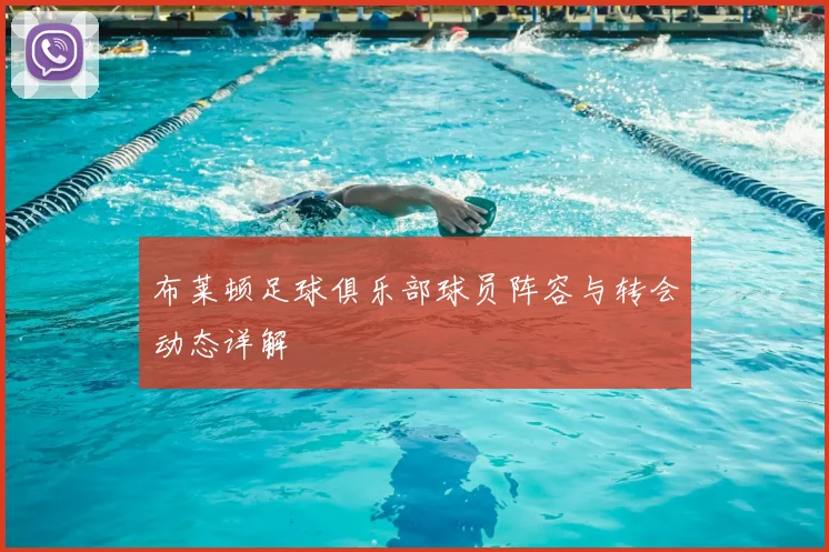布莱顿足球俱乐部球员阵容与转会动态详解
