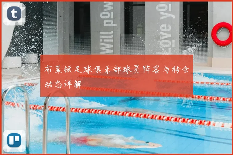 布莱顿足球俱乐部球员阵容与转会动态详解
