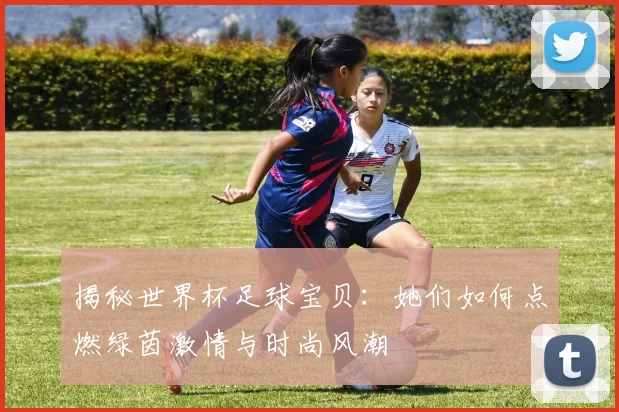 揭秘世界杯足球宝贝:她们如何点燃绿茵激情与时尚风潮