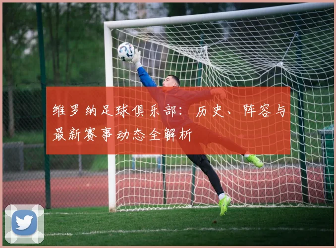 维罗纳足球俱乐部：历史、阵容与最新赛事动态全解析