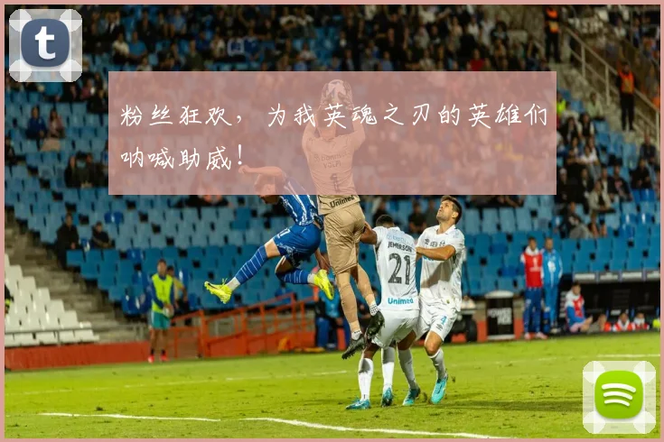 粉丝狂欢，为我英魂之刃的英雄们呐喊助威！